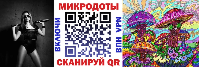 Купить  Бакал  Галлюциногенные грибы Psilocybine cubensis 